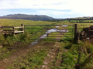 Gate on way to TV mast