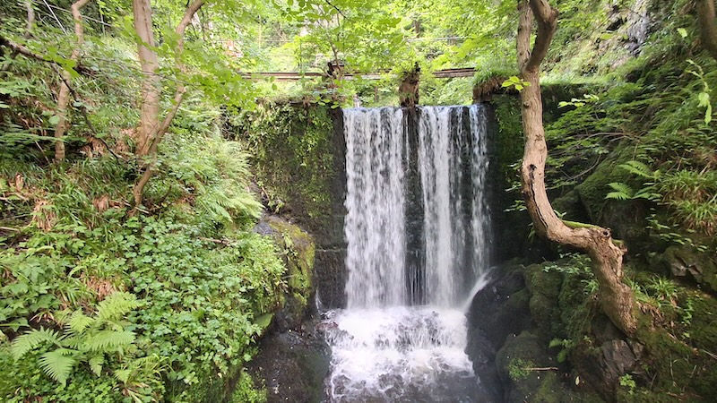 Small waterfall cascading into a rocky pool in a lush green forest, with a wooden bridge above and mossy trees around it.
