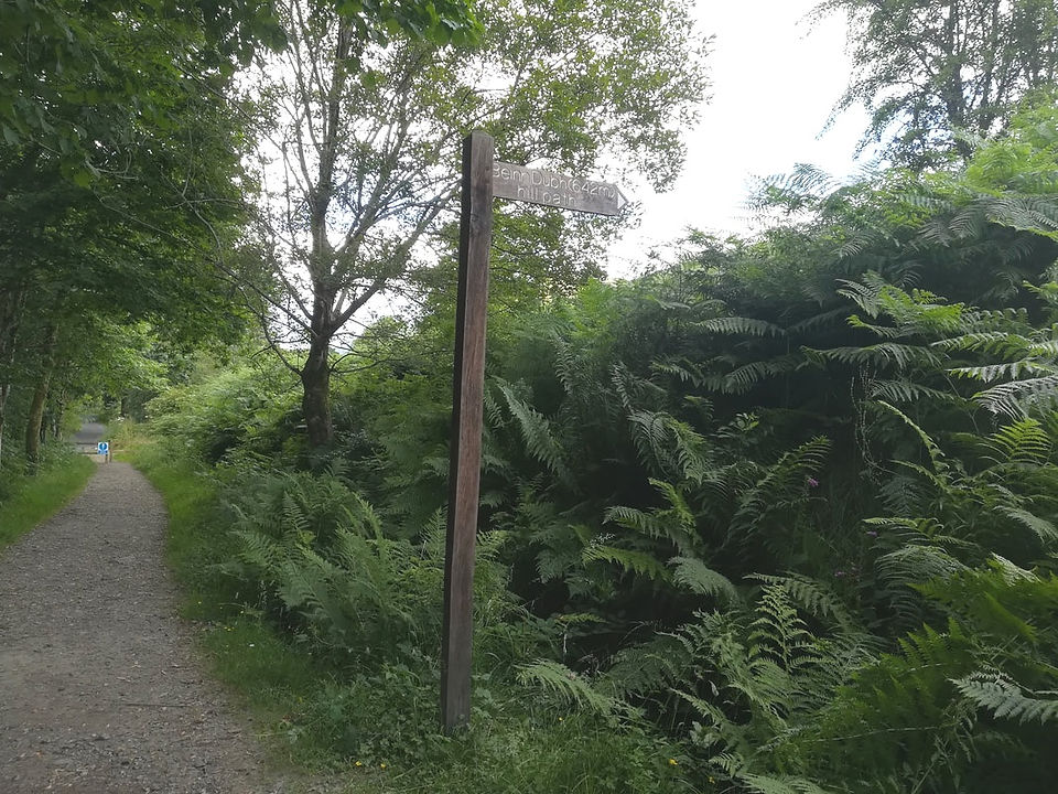 The first phase of the walk is through the woods