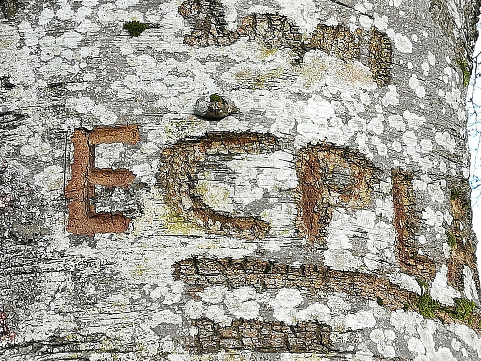 Initials on the tree
