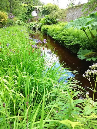 Near the weir at Geilston Gardens, 