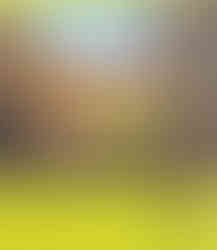 A wooden and copper bridge