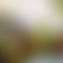 Festa de 1 ano na Marshmallow Fun