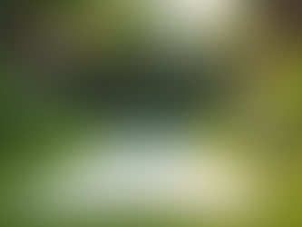 Embracing Holistic Life Principles: Understanding and Living a Holistic Lifestyle