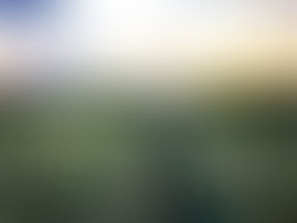 A serene moment captured as a pregnant woman in a flowing green dress stands gracefully in a grassy field at sunset, bathed in the warm glow of orange and pink skies.