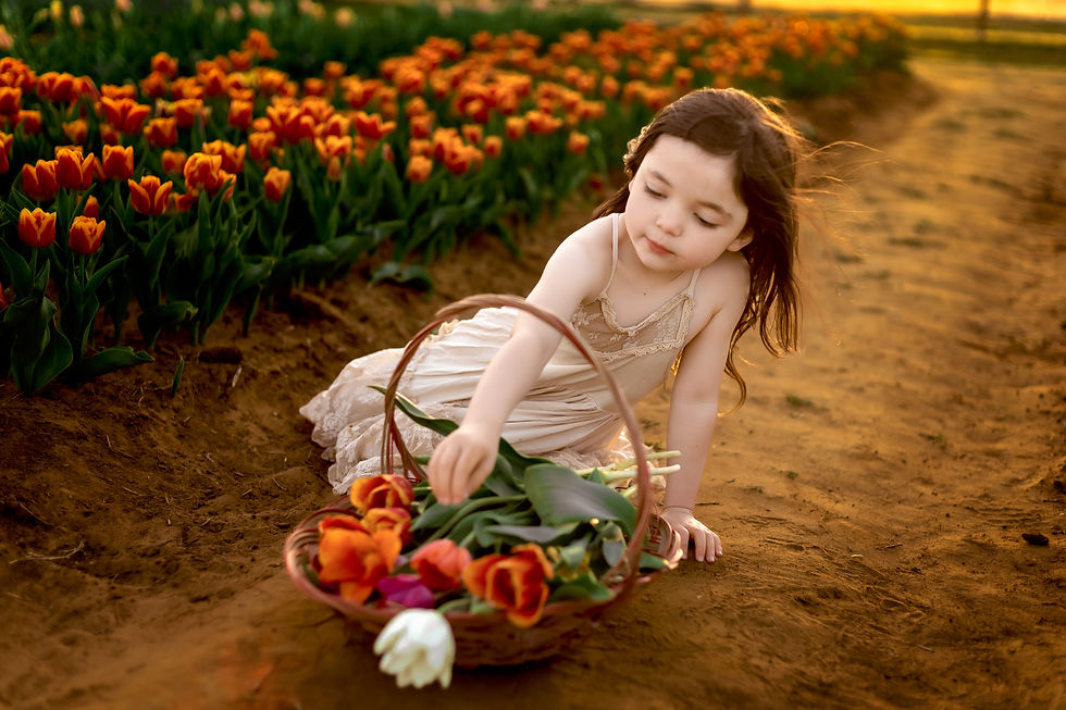 Girl in white dress sits in tulip field holding flowers, smiling. Red and pink tulips surround her under a warm, sunny sky. Photography taken by Precious Gems Photography at Texas Tulips in Pilot Point, Texas