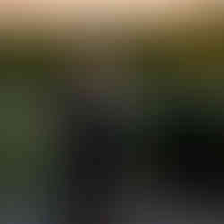 Woman in black dress and gloves poses with hand on head, eyes closed, in front of a stone wall, with sunlight highlighting her hair. Modeling session done at Adratica Village in Mckinney Texas by Precious Gems Photography