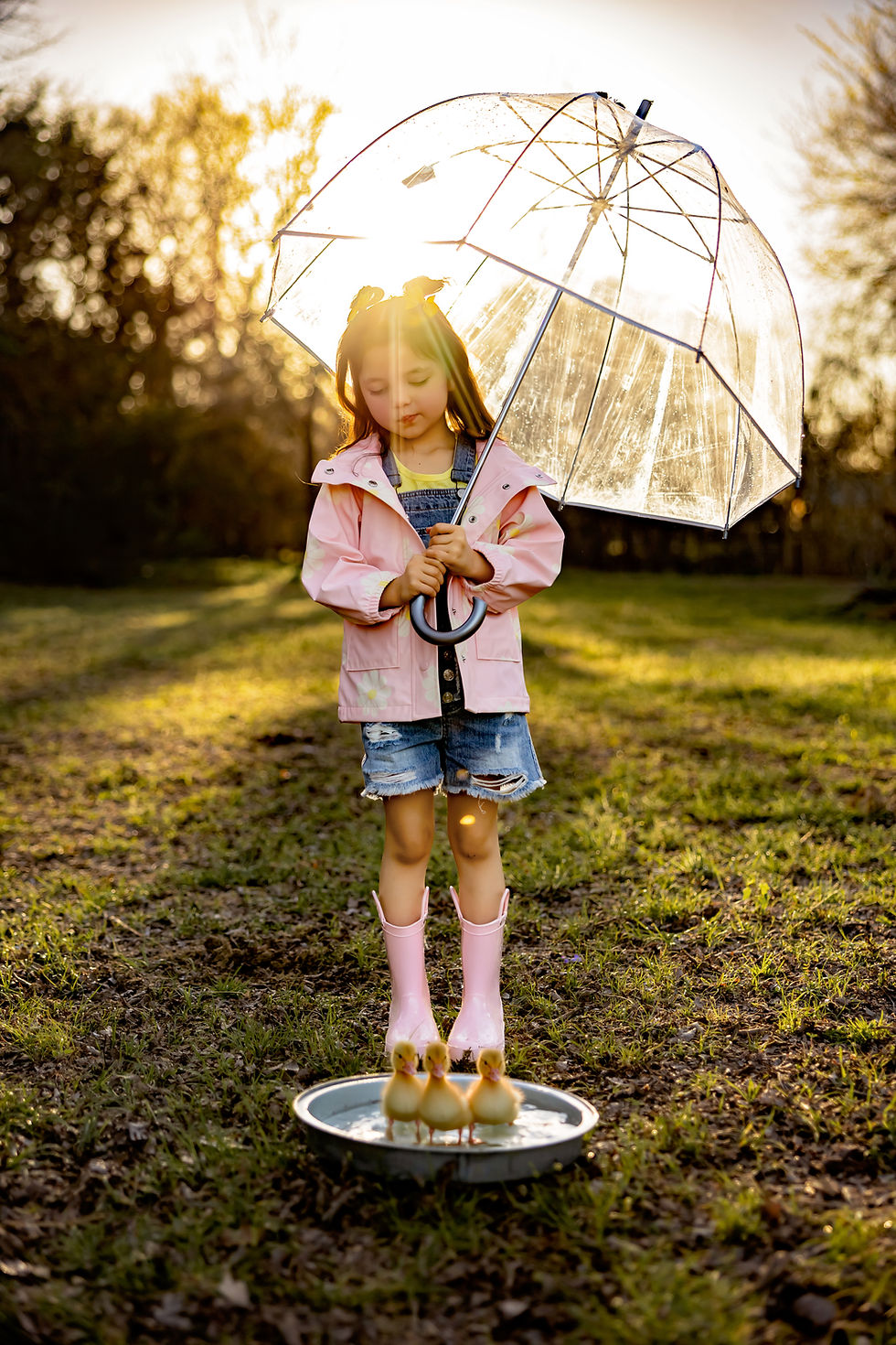 Child holding umbrella over ducklings in water tub during whimsical farm mini session at Bloom and Bray Farm near Fort Worth Texas, DFW children photography