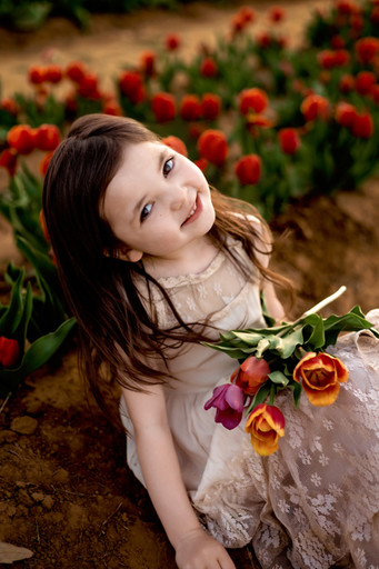young girl posing in the texas tulips holding tulips in her lap dressed in a lace long dress looking directly at the camera