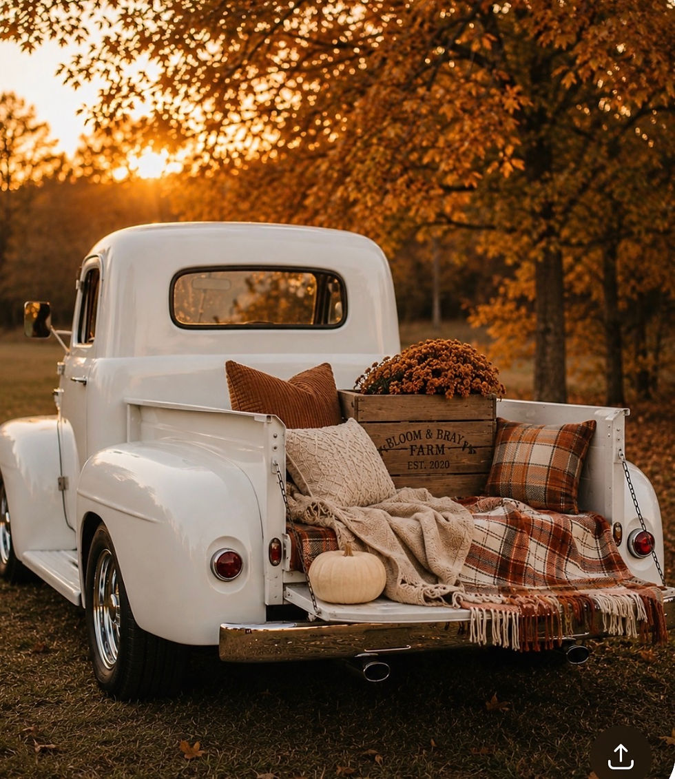 White vintage pickup with plaid blankets, pumpkin, and crate labeled Bloom & Bray Farm at sunset in autumn woods.