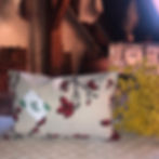 Dekokissen mit Hagebutten-Motiv