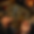 tarot-8643585_1280.png