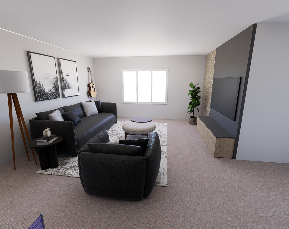 Haquila Basement 3d Project photo 39