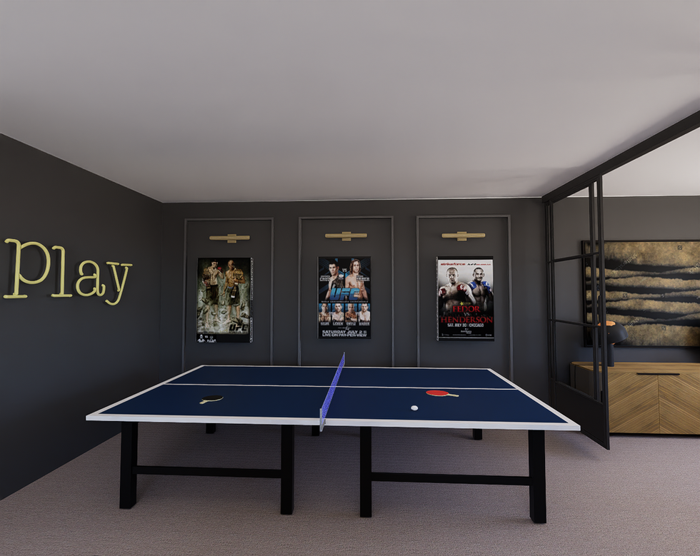 Haquila Basement 3d Project photo 48