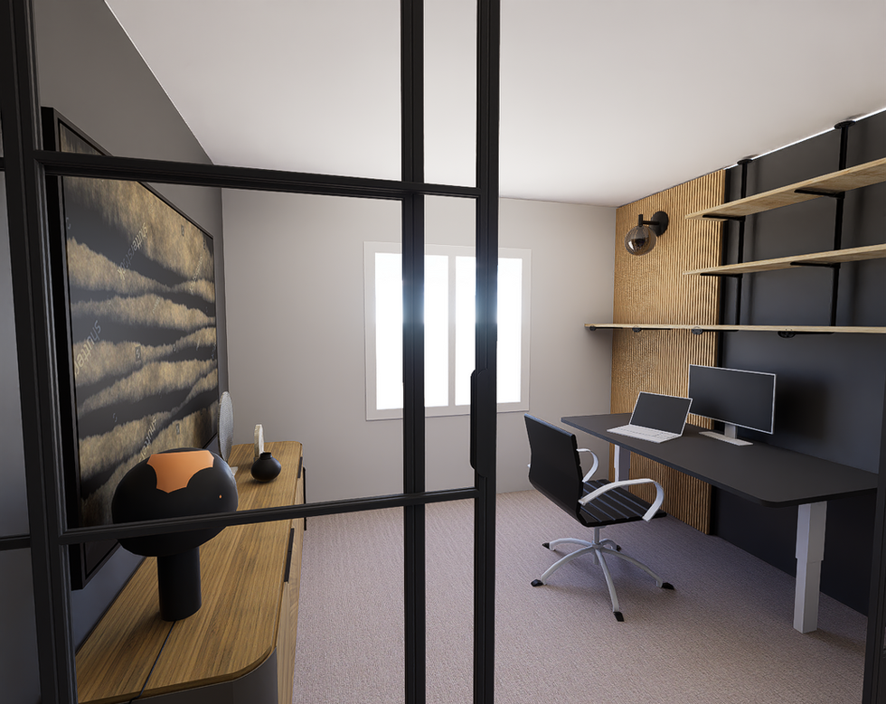 Haquila Basement 3d Project photo 51