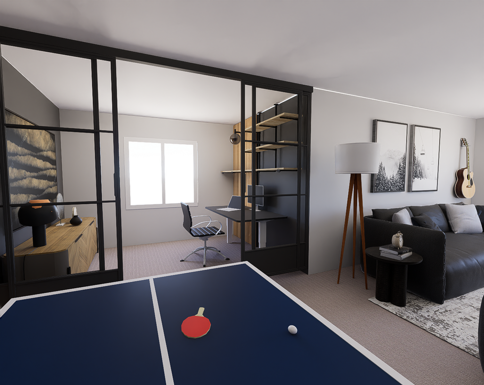 Haquila Basement 3d Project photo 50