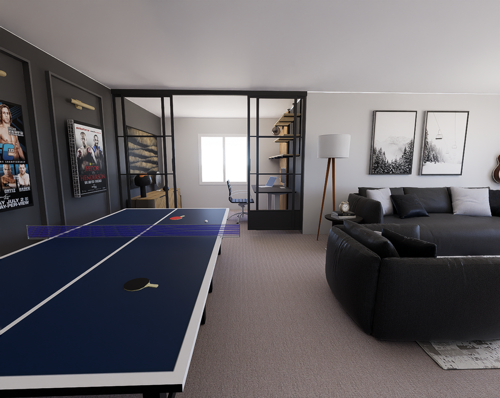 Haquila Basement 3d Project photo 37