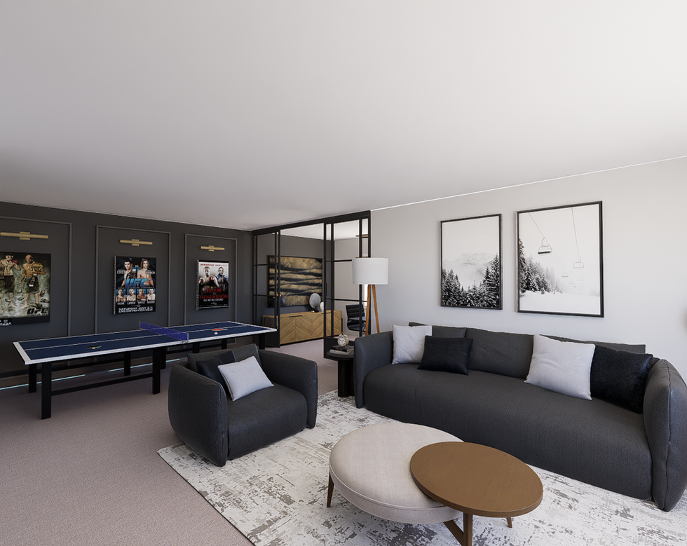 Haquila Basement 3d Project photo 43