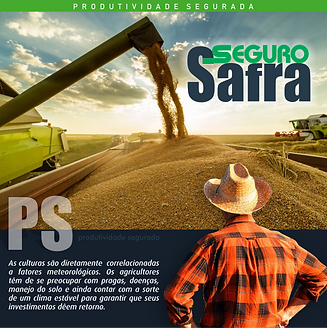 seguro_safra.png