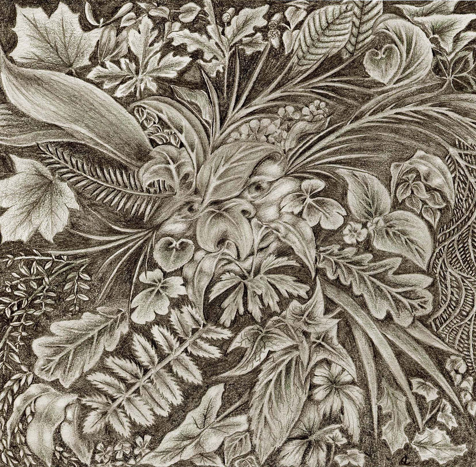 Leaves