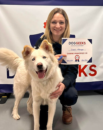dog and person happy graduating class