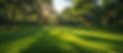 AdobeStock_748969990.jpeg
