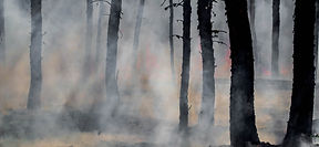 Another Audit Followed By Another Year of Smoke