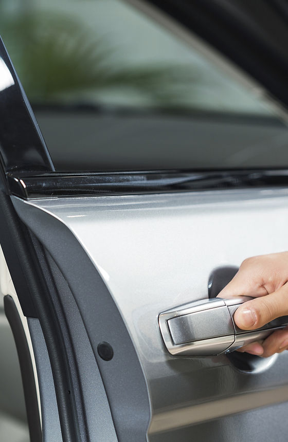 Opening Car Door
