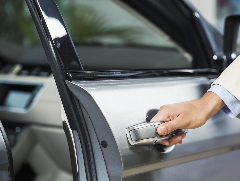 Opening Car Door