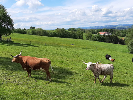 Persönliche Besuche bei unseren bäuerlichen Lieferanten