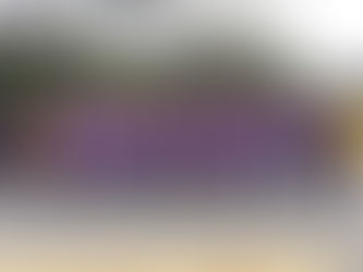 2017 Christmas Party From Ashes To Beauty Inc - Girl In the Mirror Float