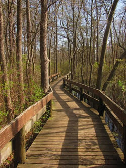 Jennifer Maggio, Bridge Over Water