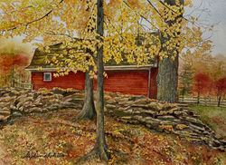 Falling Leaves From The Sycamore, Vermont