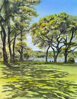 Afternoon Shadows, Cold Spring Harbor Park, Long Island