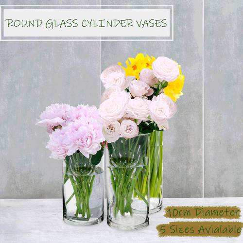 10cm Diameter Round Glass Cylinder Vase Clear KOSY