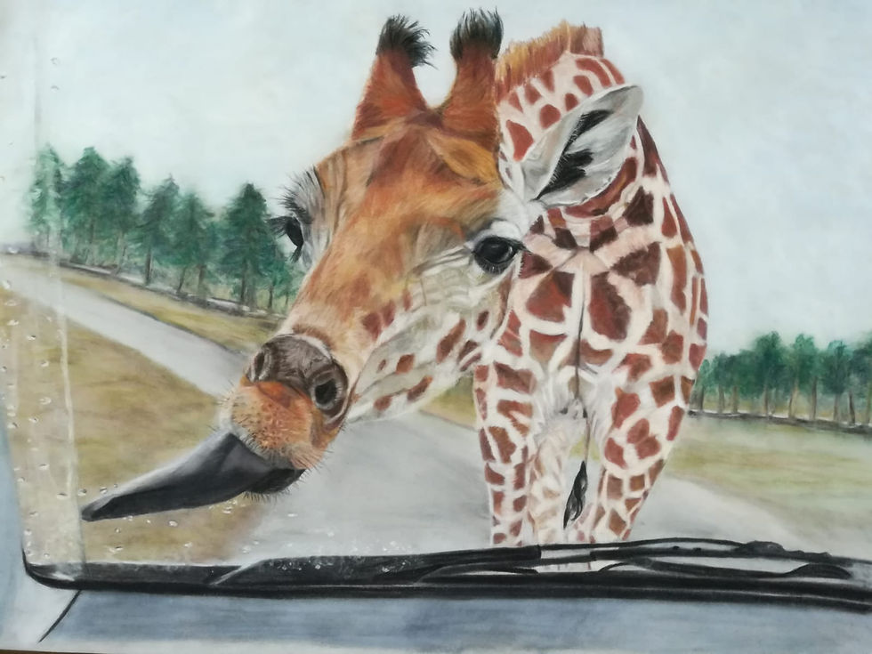 J Druppers Dierenportret