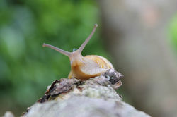 Photographie
