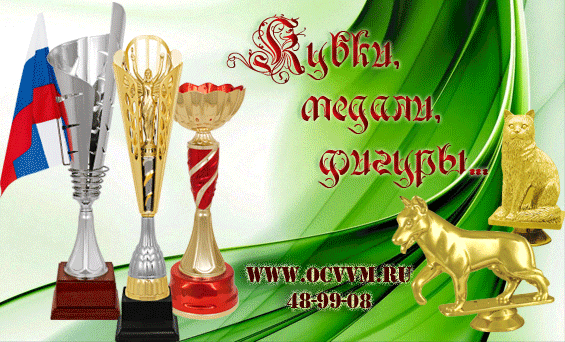 Кубки, медали в Омске