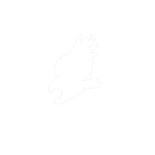 Eagle PCB Design | elab