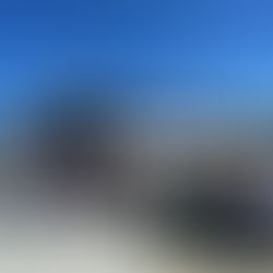 ACWC’s trip to Tasmania has been absolutely wonderful! 