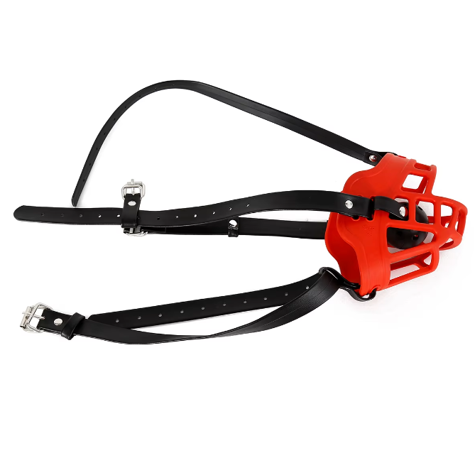 Thumbnail: Red Muzzle Gag