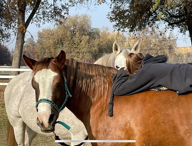 horse love, laying on the back of a horse, proper training and care