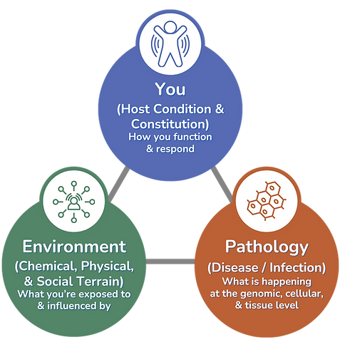 SBCM 3 domains.png