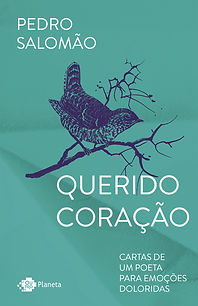 Capa do livro do Pedro Salomão