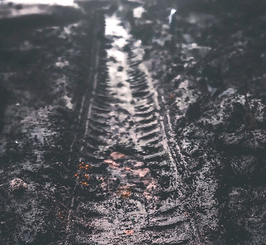 the-ian-vRBB7_9XUtc-unsplash_edited.jpg