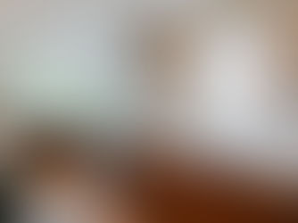 Planning a Kitchen Project Around the Holidays