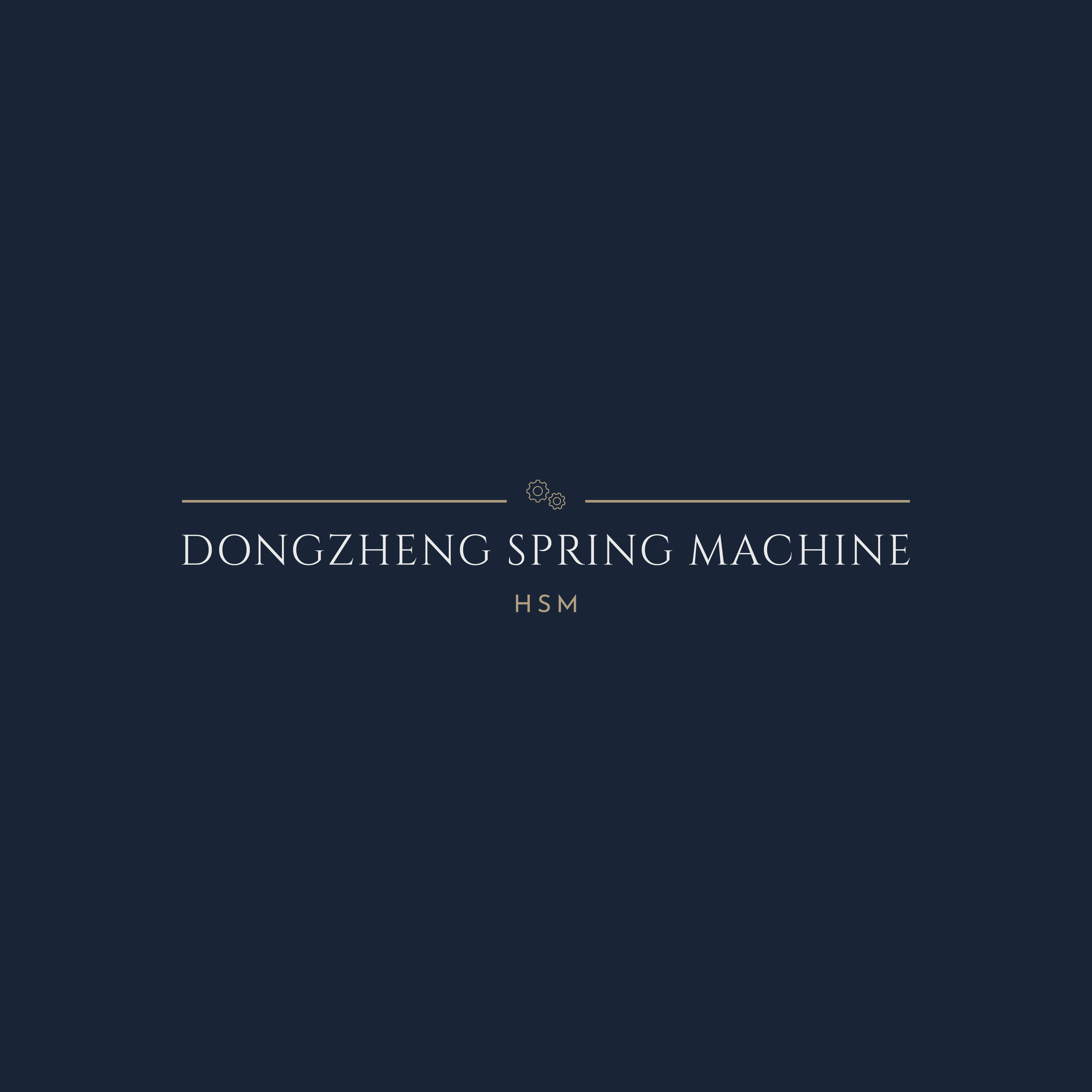 HS-CNC20 CAM SPRING MACHINE