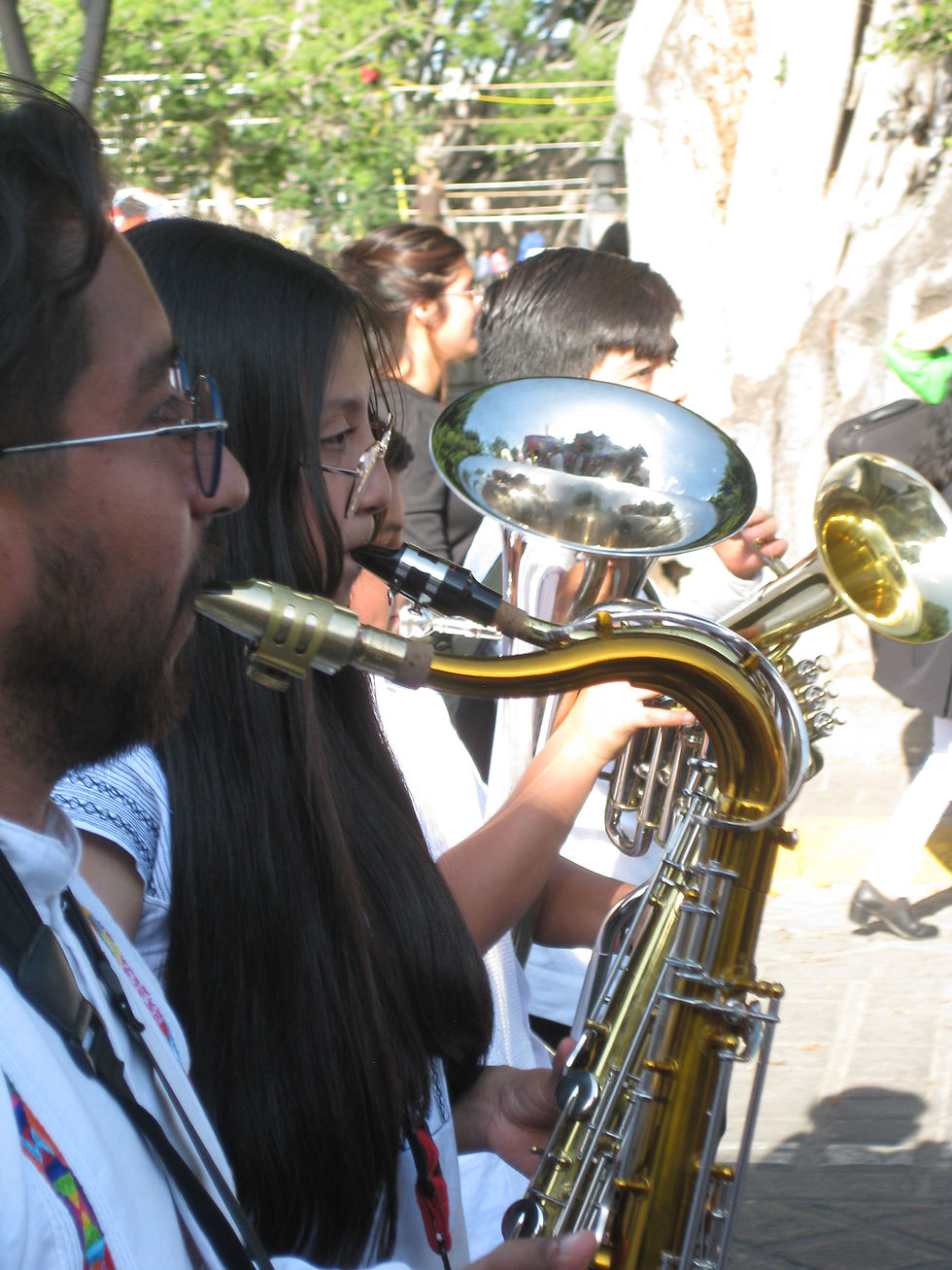 Luis Arcadio Academy, imagen de blog, aprender a recibir feedback artístico, músicos de alientos en oaxaca