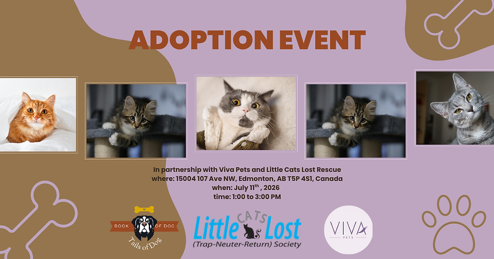 Adoption Event