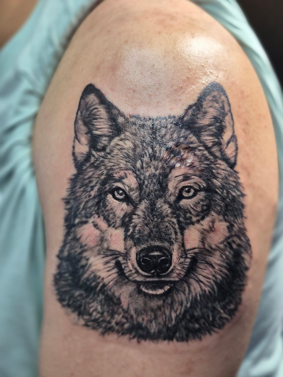 Realistic black and grey wolf portrait tattoo on a client's upper arm by a Black Brew Tattoo artist in Abbotsford